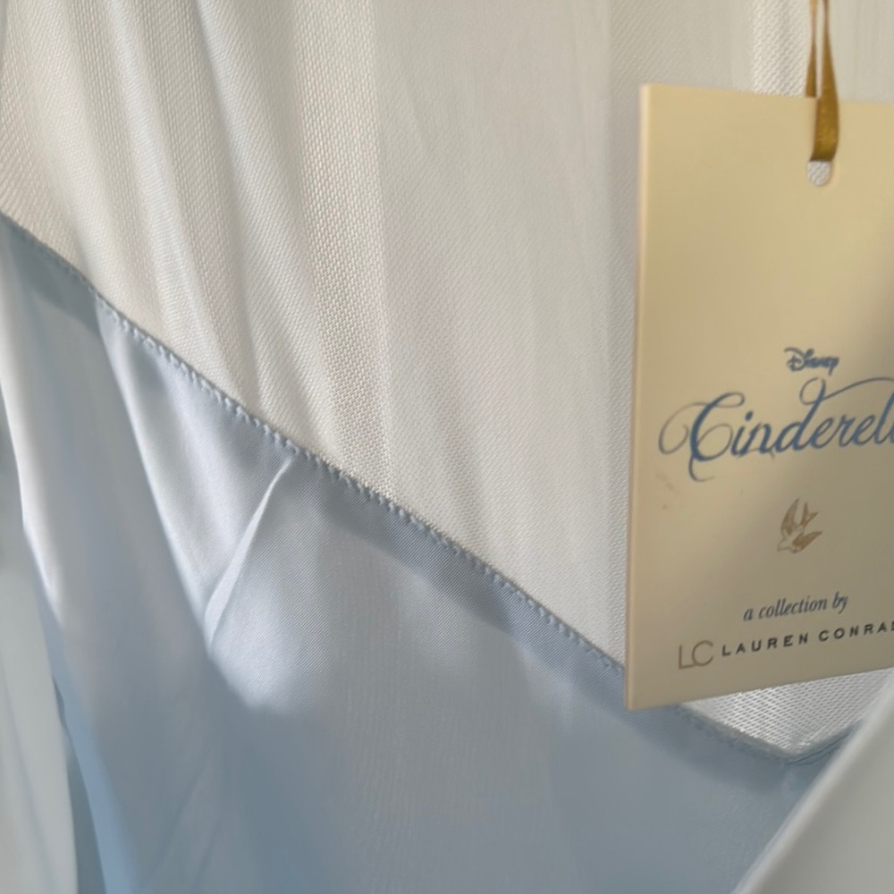 NWT Light Blue Cinderella Dress - Picture 8 of 8